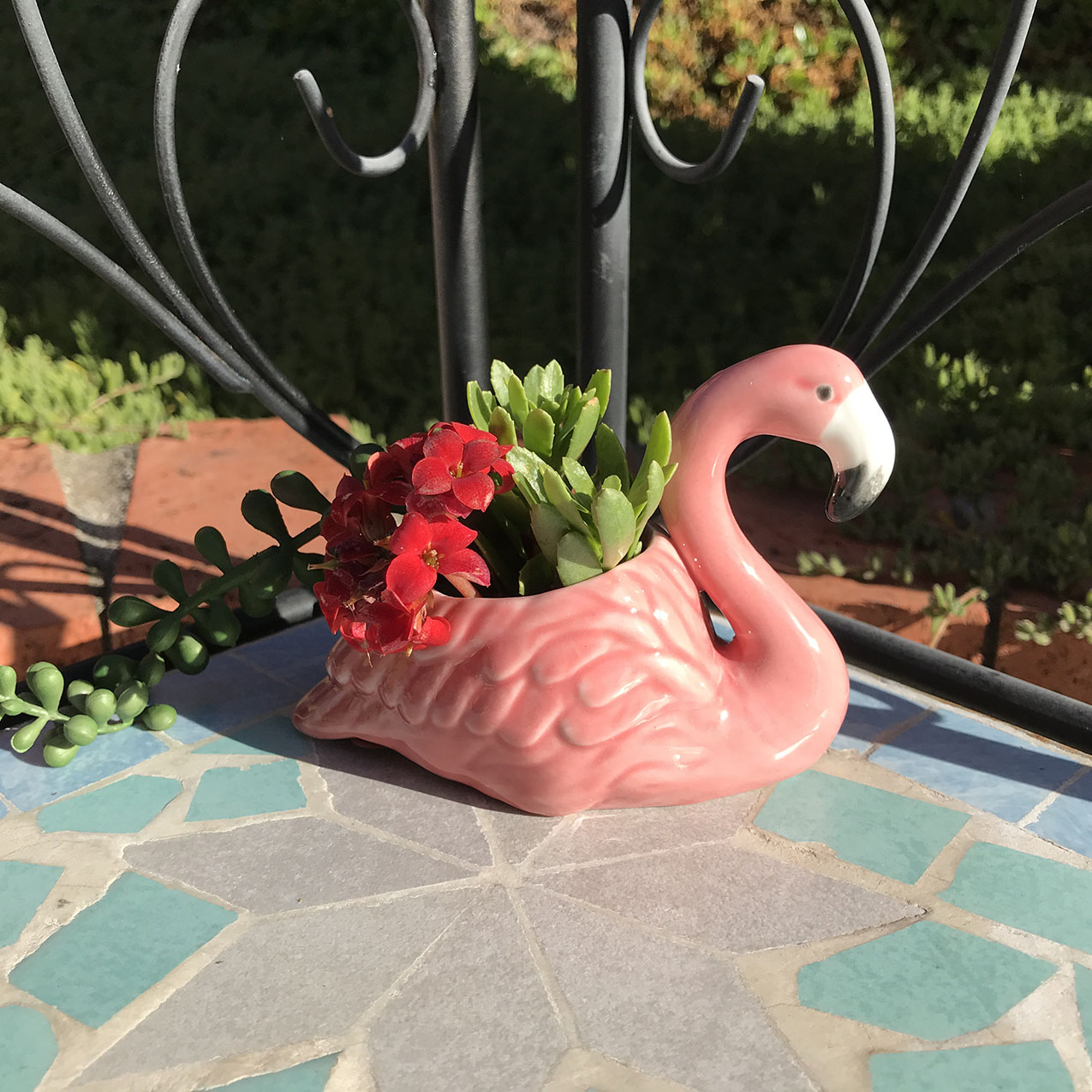 Planter Succulent Plant Small Indoor Outdoor White Ceramic Pink Flamingo